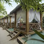 Trendy Verbena 5*
