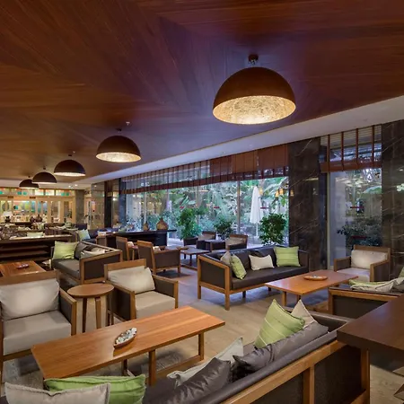 Sentido Trendy Verbena