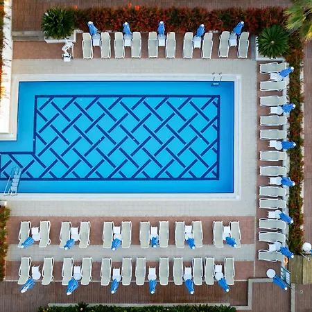 Sentido Trendy Verbena