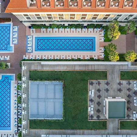 Sentido Trendy Verbena