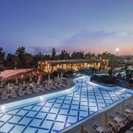 Trendy Verbena 5*