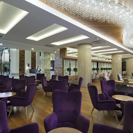 Resort Trendy Verbena