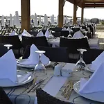Sentido Trendy Verbena