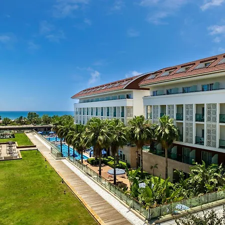 Sentido Trendy Verbena