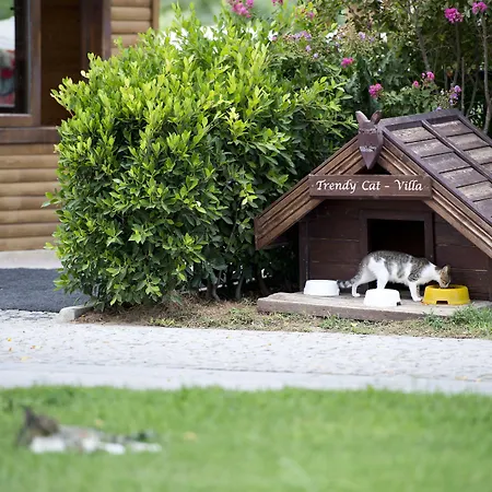 Semesteranläggning (resort) Trendy Verbena 5*