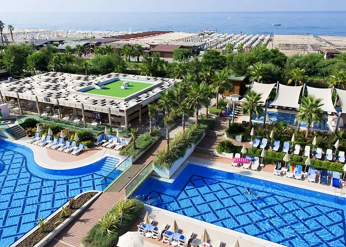 Trendy Verbena 시데